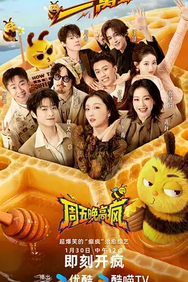 剧多多热播剧 雾港迷局 海报